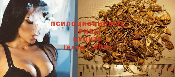 COCAINE Горно-Алтайск