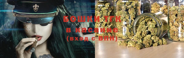 молекула духа Горнозаводск
