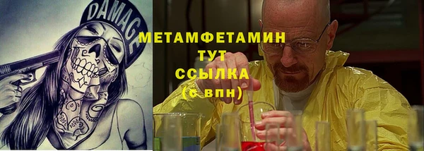 сатива Елизово