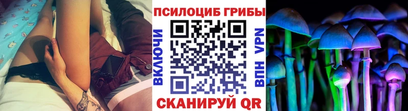Купить где  Киреевск  Псилоцибиновые грибы Cubensis 